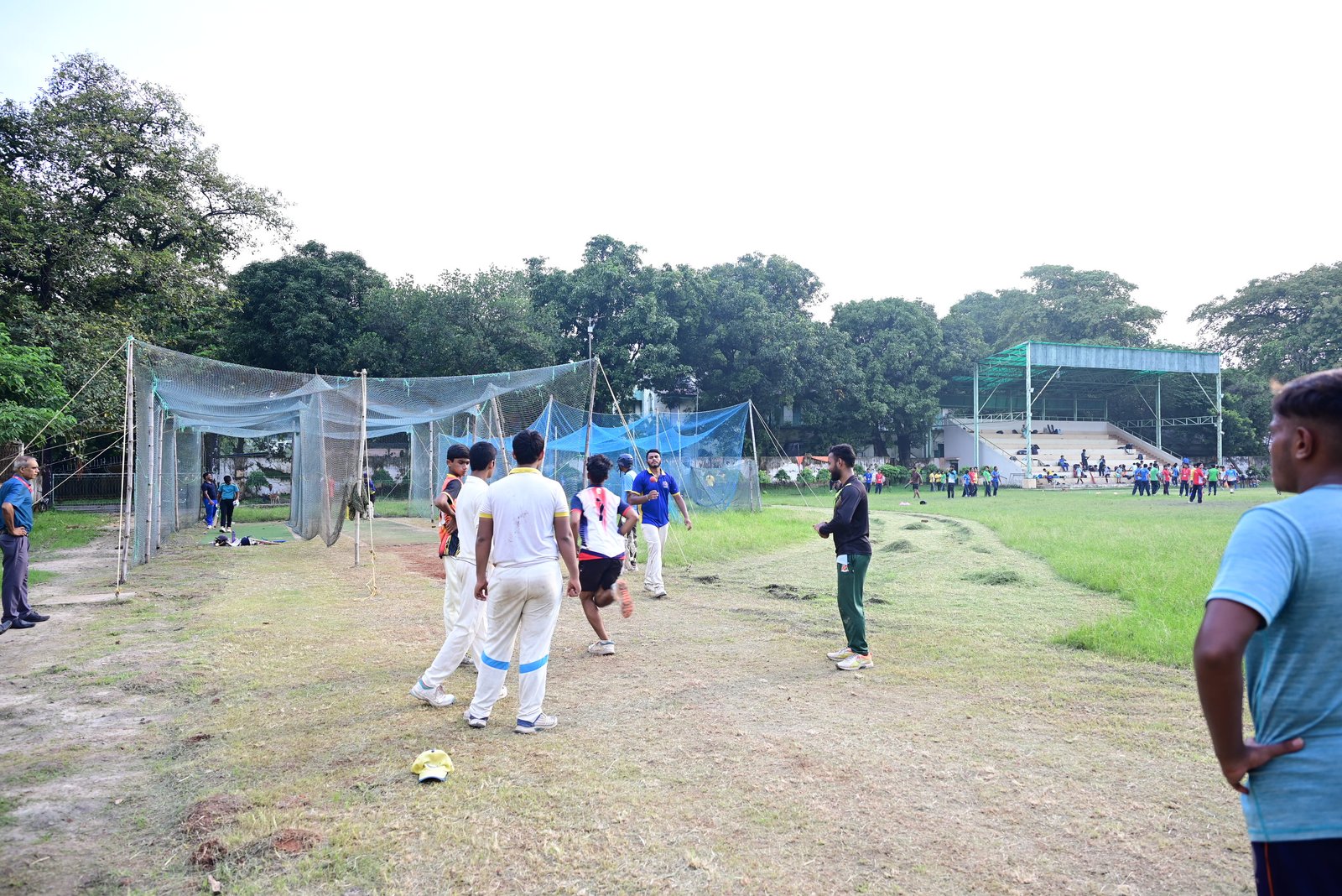 Cricket