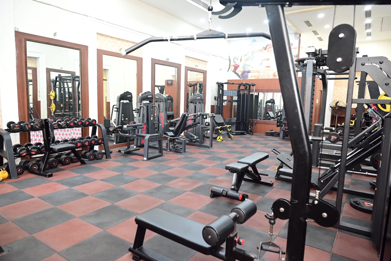 Gymnasium