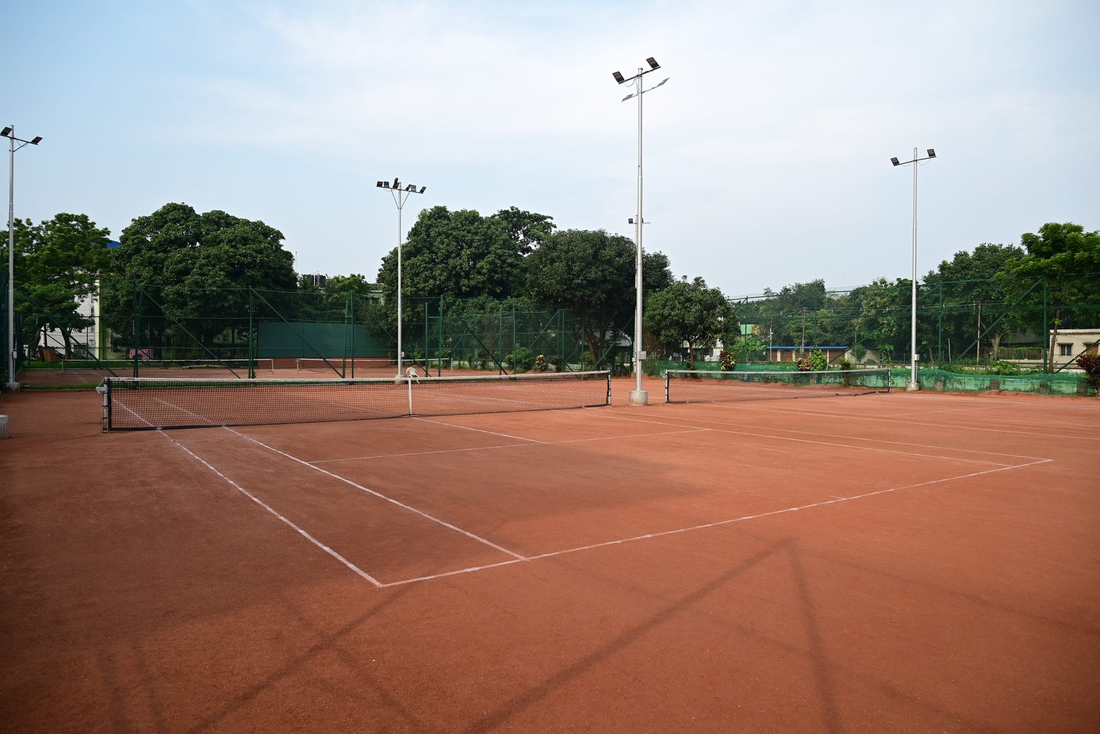Lawn Tennis