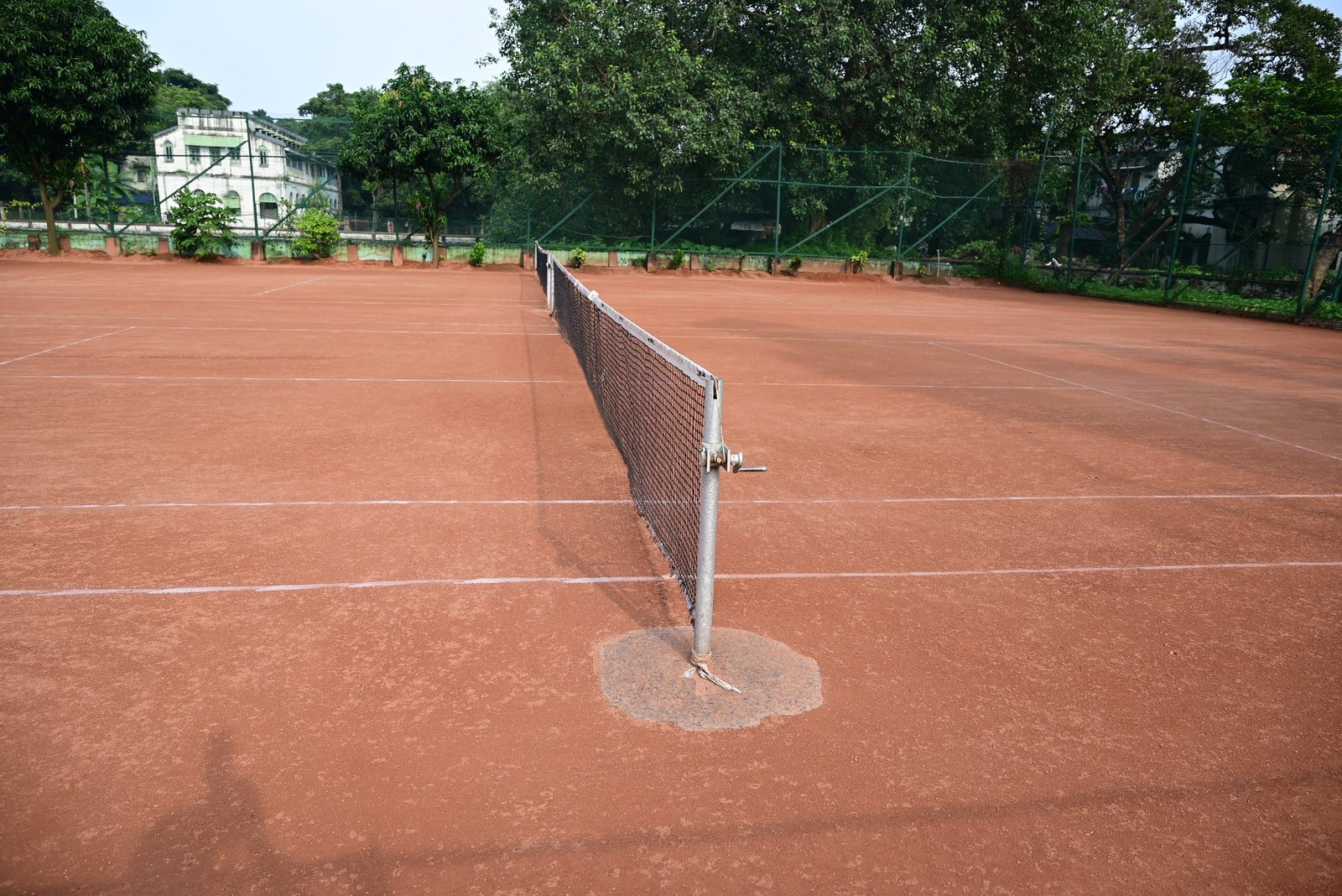 Lawn Tennis