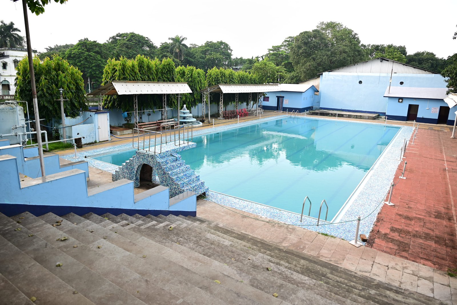 Swimming