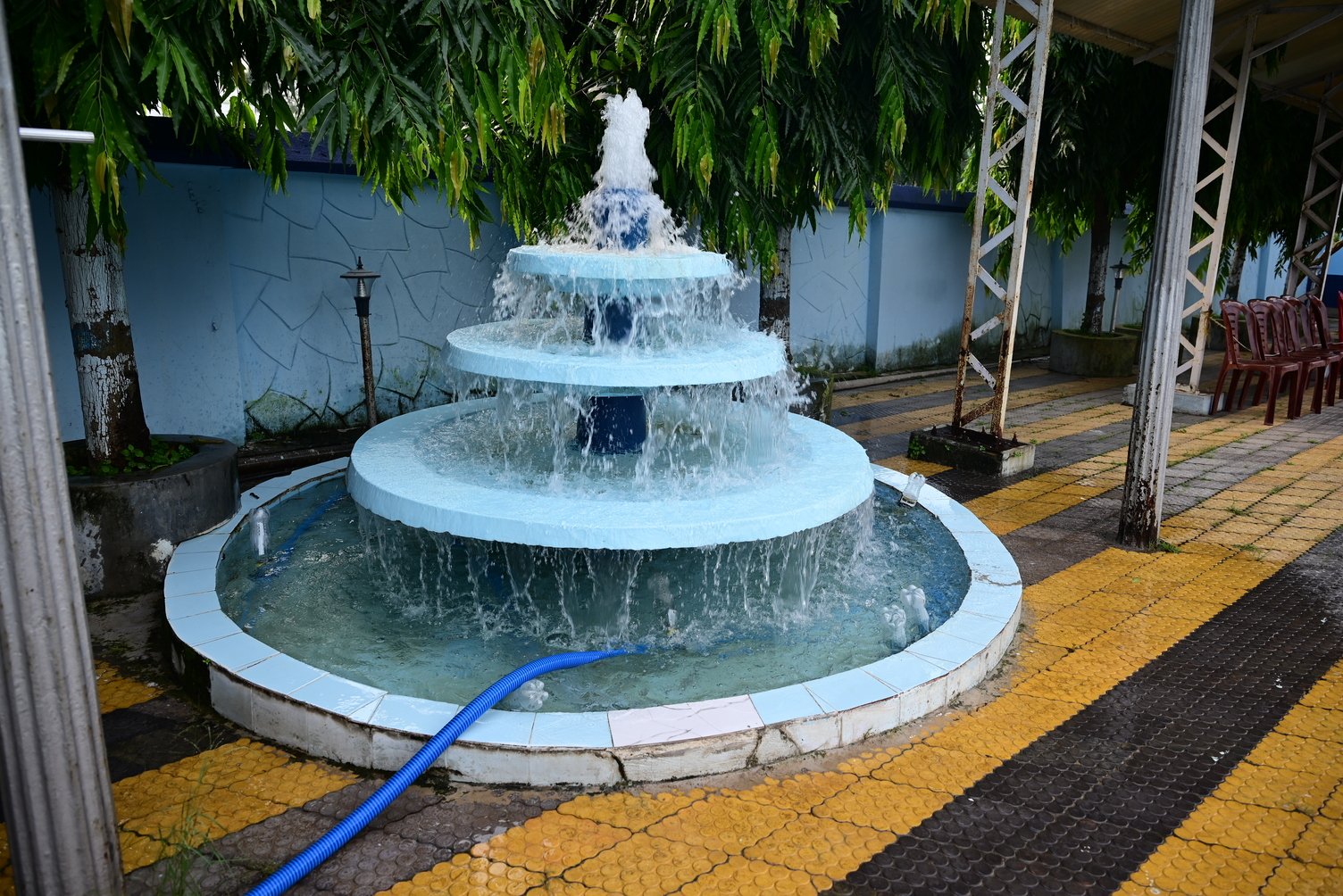 Cossipore Club Swimming Picture 5